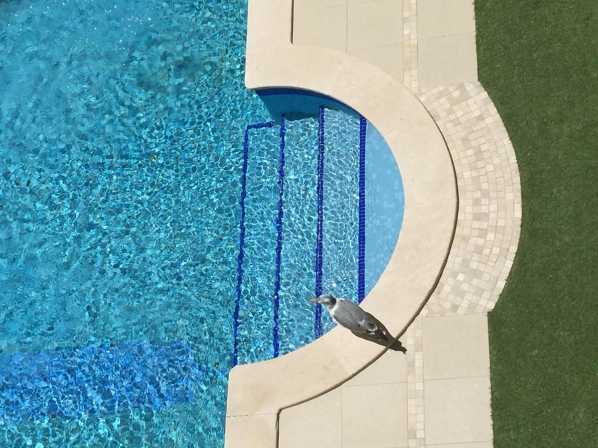 3 Min Walking To Peneco Beach Albufeira , Apart + Pool + Wifi Zewnętrze zdjęcie